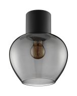 Brilliant Plafondlamp Ligari rookglas 23cm 4004353461279