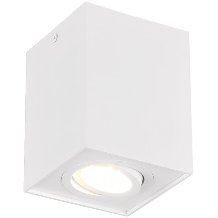 Trio Biscuit 613000131