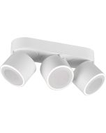 Trio Taurus 652910331 witte plafondspot