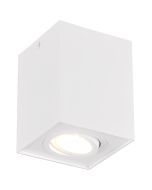 Trio Biscuit 613000131