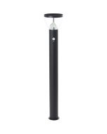 Solarlamp Tulip zwart 92cm