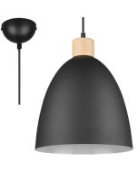 Trio Jagger R30681032 mat zwarte metalen hanglamp met hout