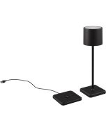 Trio Fernandez R54096132 tafellamp op batterijen
