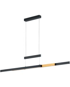 Trio Trajan 375310502 zwart met messing hanglamp