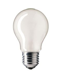 A60 E27 gloeilamp peer 100w mat