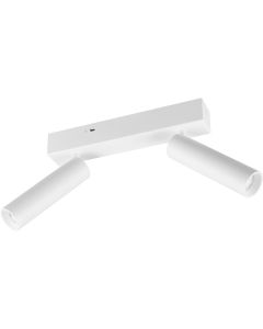 Trio Ambala 849210231 witte spot met instelbare lichtkleur