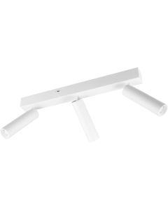 Trio Ambala 849210331 witte spot met instelbare lichtkleur