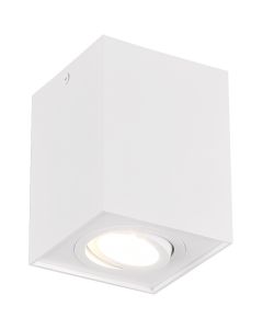 Trio Biscuit 613000131
