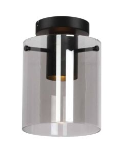 Freelight Interno PL6610SK rookglazen plafondlamp