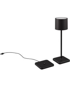 Trio Fernandez R54096132 tafellamp op batterijen